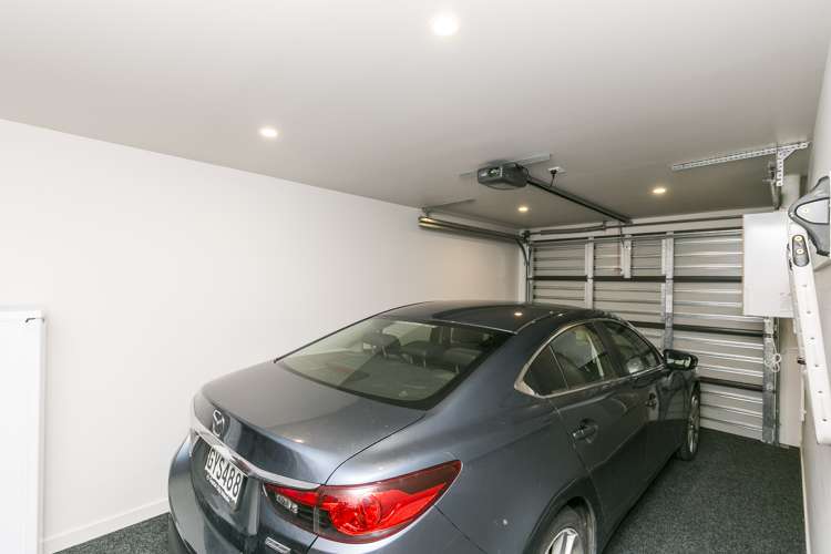 3d Park Street Thorndon_16