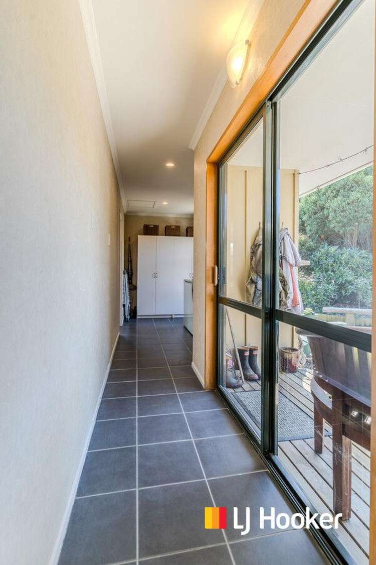 41 Mcintosh Road Brighton_14