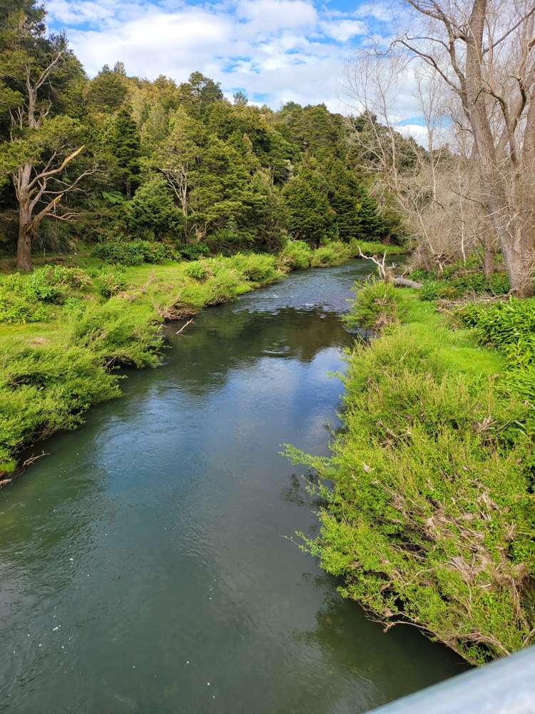18 Mamaranui Road Dargaville Surrounds_15