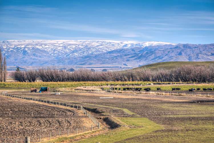 45 Mawhinney Road Omakau_7