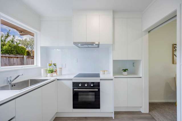 2/2 Marsden Avenue Mt Eden_2