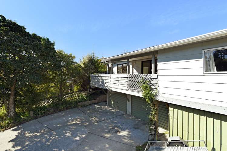 12 Piko Street Toi Toi_2