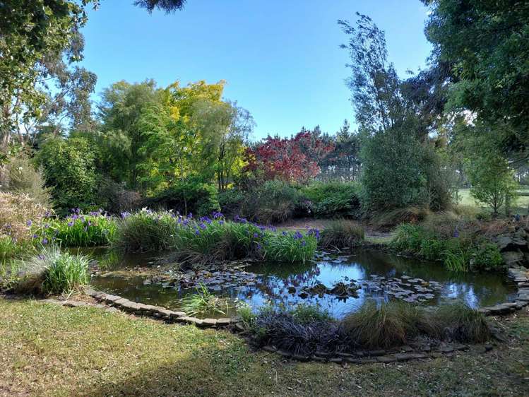 73 Ashley Dene Road Springston_22