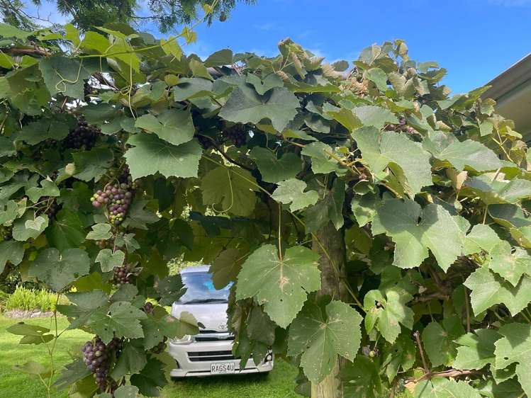 2 West Beach Road Mohaka_13