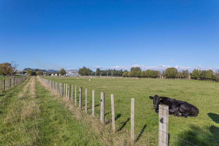 11 Tipapakuku Road Dannevirke_23