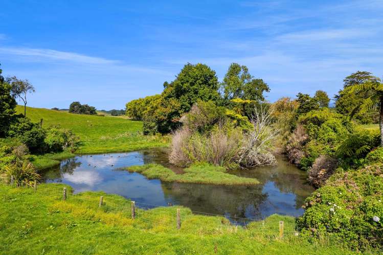 0n Mangorei Road New Plymouth_6