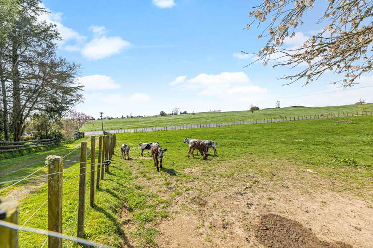 2560 Old Taupo Road Kinleith_20