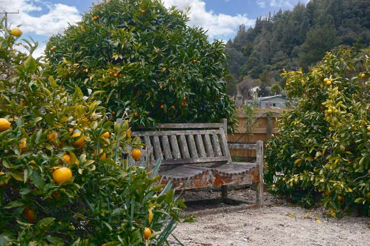 509 State Highway 30 Lake Rotoma_13