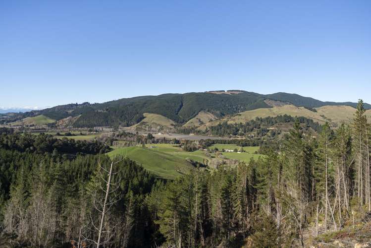Graham Valley Road Motueka Valley_18