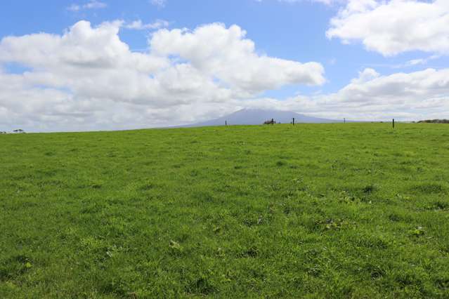 96 Lower Hunter Road Hawera_3