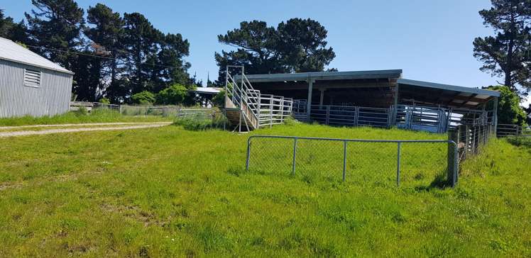 1518 Clinton Highway Waiwera South_2