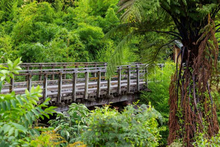 29a School Road Karangahake_16