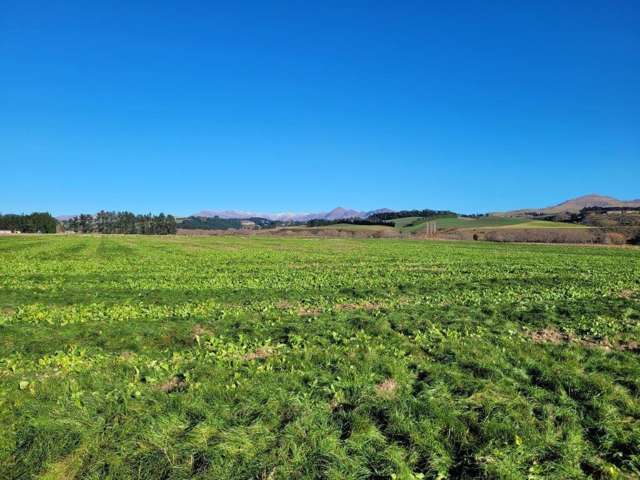 Livingstone Duntroon Road Livingstone_3