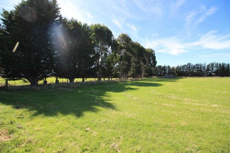 112 Calico Line Marton_6