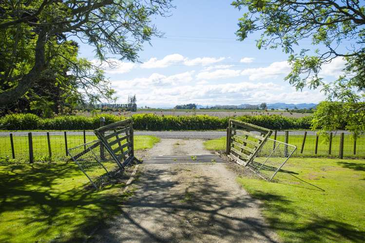 75 Brown Road Ormond_27