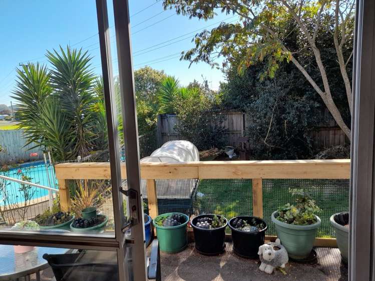 1 Shaw Avenue Paeroa_8