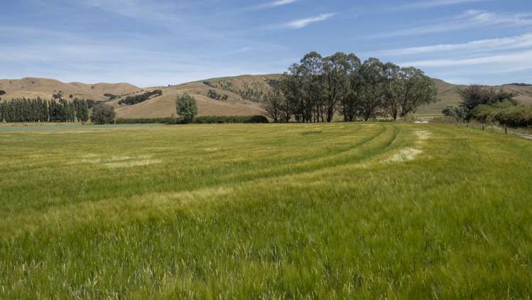 1231 Longbush Road Longbush_16