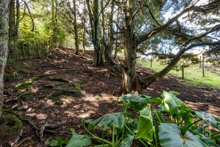 75 Taylor Road Waimauku_52