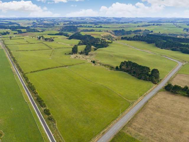 116 Karahaki Road Waverley_1