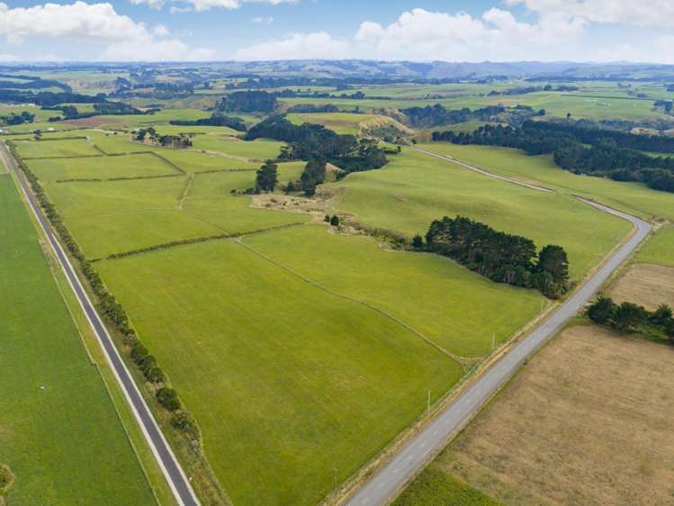 116 Karahaki Road Waverley_1