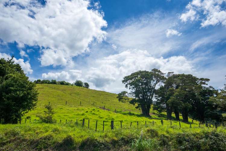 64 Ross Road Parua Bay_43