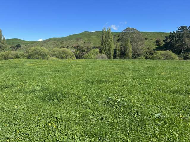 Lot 2, 51 Kiwi Road Pirongia_2