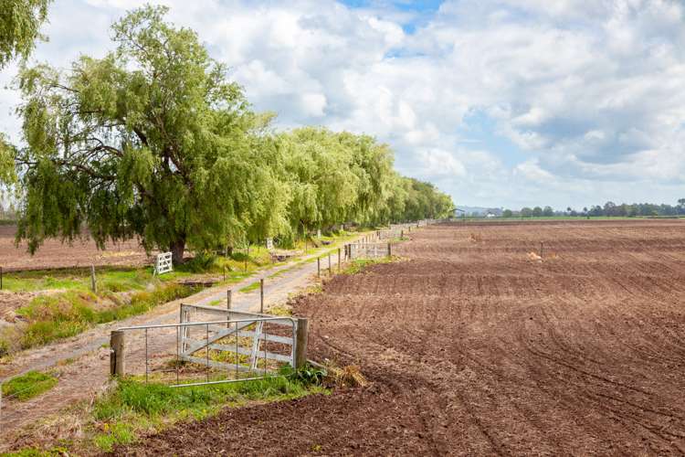 361 Waghorn Road Manawaru_10