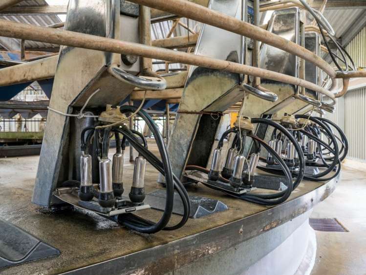 1427 Mititai Road Arapohue_8