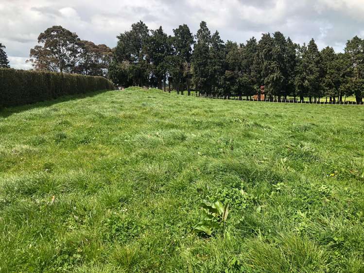 88 Strong Road Te Pahu_3