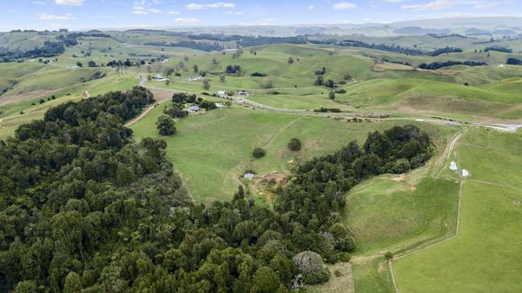 565 Barber Road Otorohanga_2