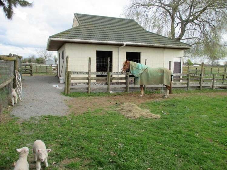 296a Pickering Road Tamahere_13