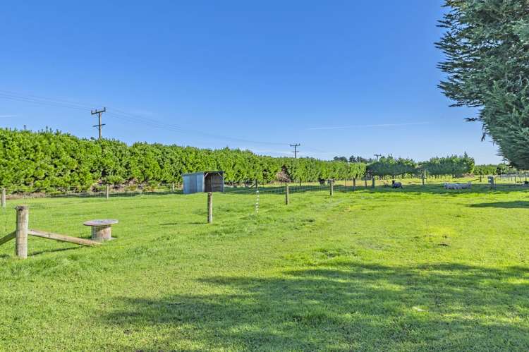 101 Old Bridge Road Springston_20