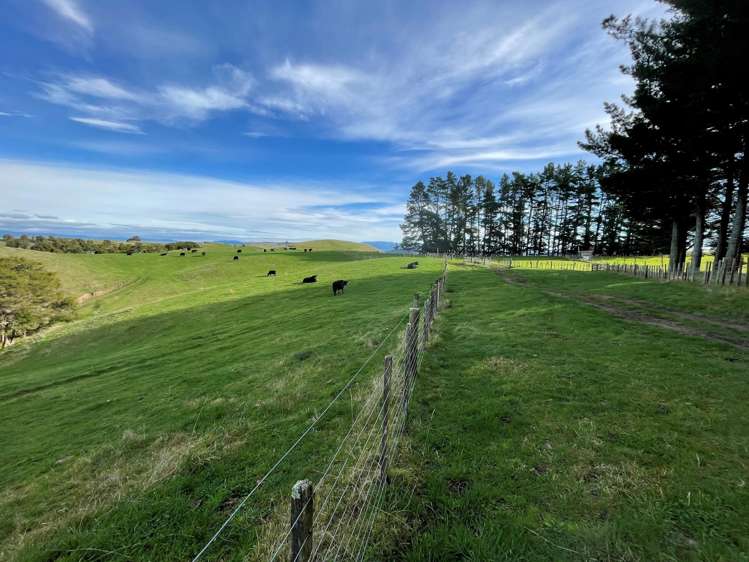 471 Apley Road Puketapu_1