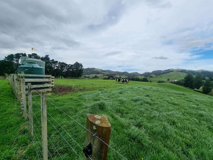 3345A Weber Road Dannevirke_11