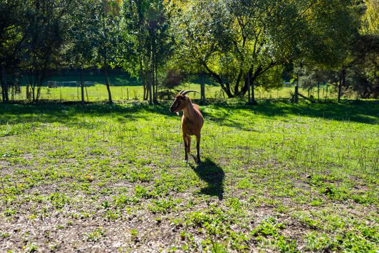 63 Gibsons Road Kaituna_28