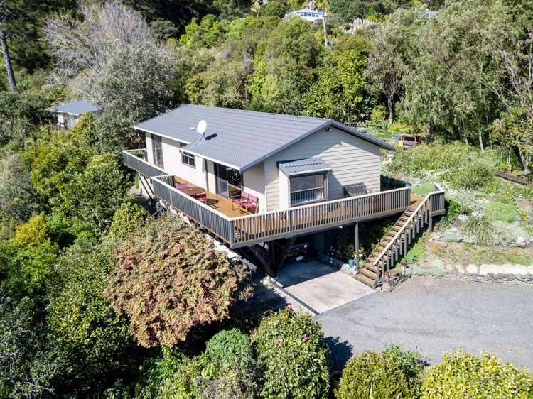 17 Adams Road Thames_1