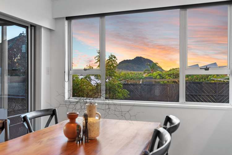 23 Terrace Avenue Mt Maunganui_9