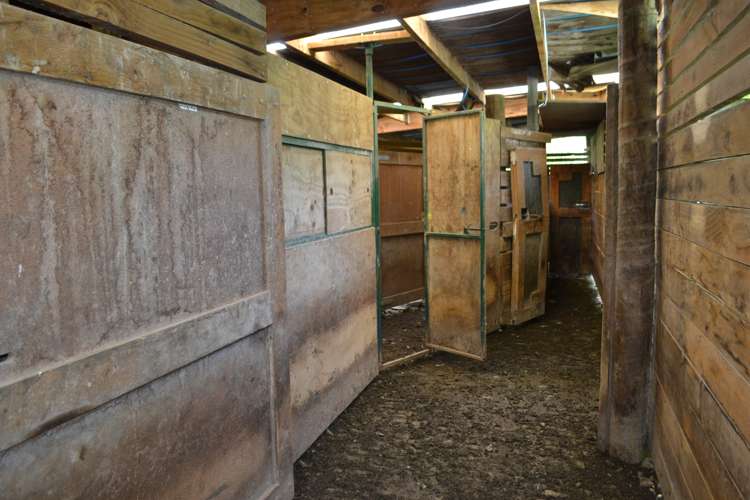 227 Overtons Road Scargill_12