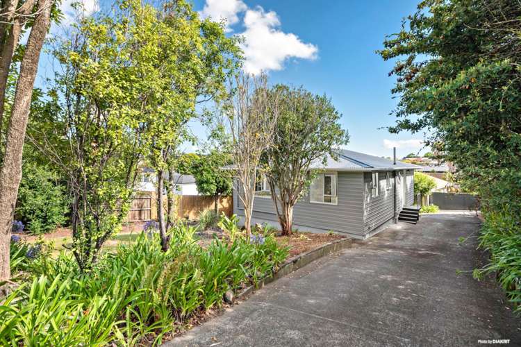 1/67 Drake Street Howick_0