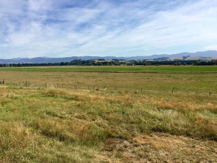 1802 Cust Road Cust_6