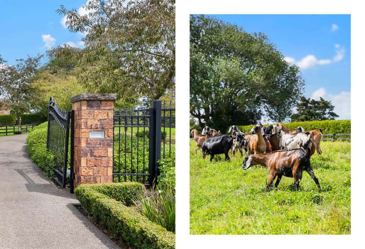 124 Wily Road Pukekohe_43