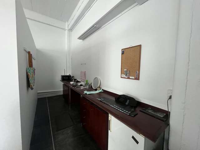 233 Willis Street Te Aro_3