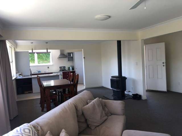 12 Horseshoe Bush Road Dairy Flat_3