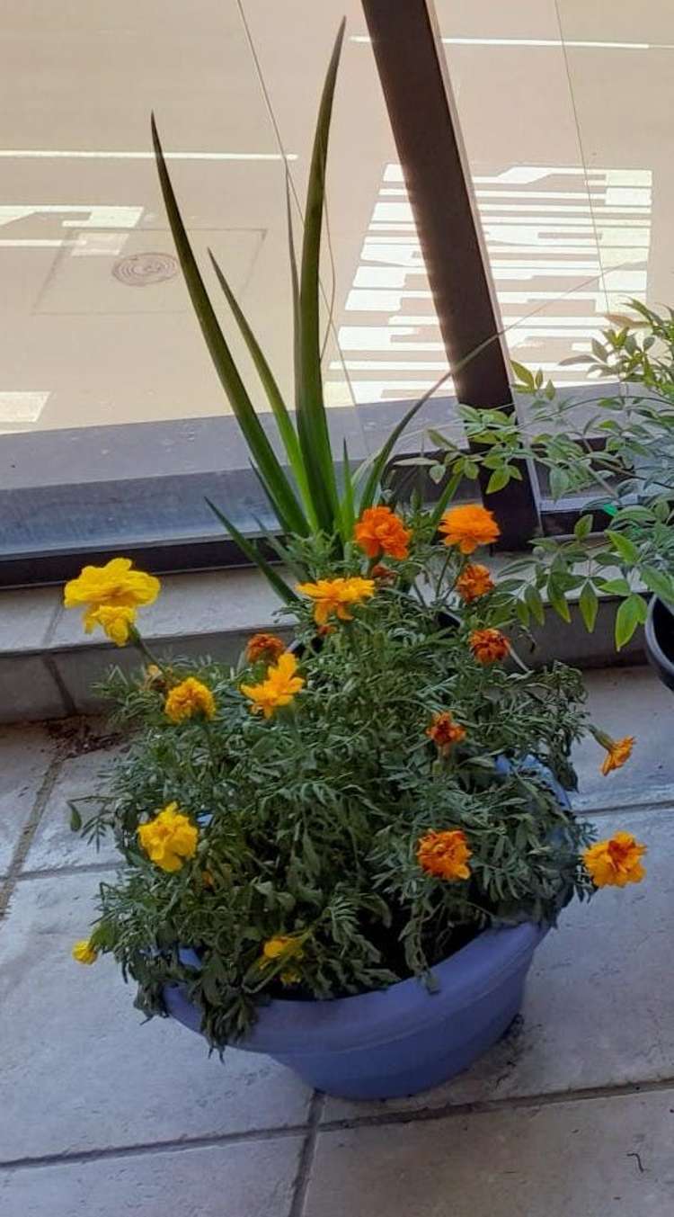 302/22 Nelson Street Auckland Central_13