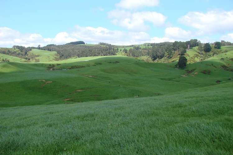 121 Ngapeke Road Otorohanga_10