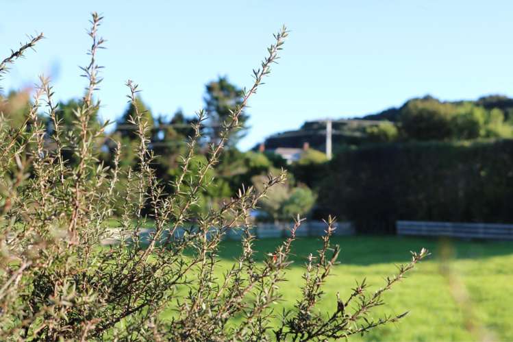 8 Brenda Gardner Way Maunu_6