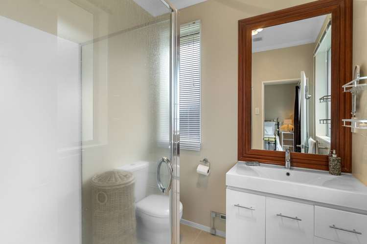 20 Vogel Place Te Aroha_16