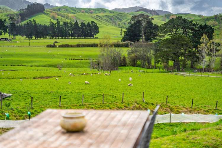 301 South Road Mauriceville_19