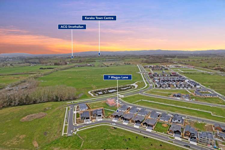 7 Wagyu Lane Karaka_19