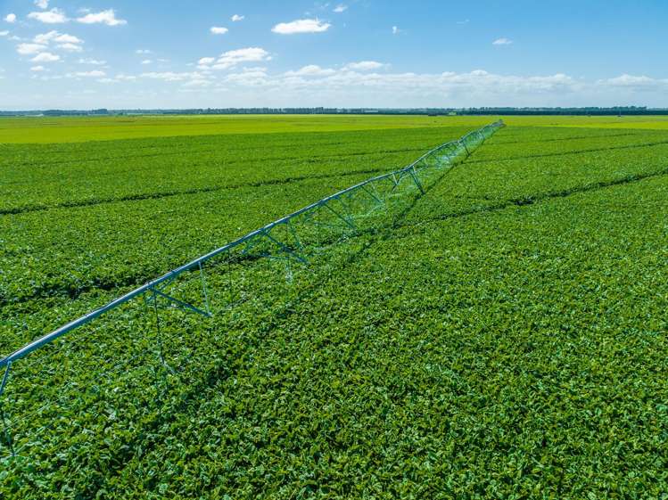 1372 South Two Chain Road Dunsandel_0